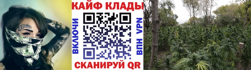 Купить наркотики Нязепетровск ГАШ МАРИХУАНА Кокаин НБОМе гидра ONION СК МЕФ