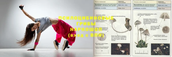 твердый Балахна